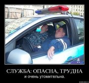 гаи.jpg