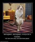 инет.jpg