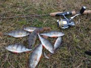 DSC00799.JPG