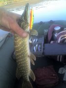 04-08-12_0541.jpg