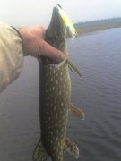 09-01-12_0932.jpg