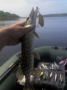 12-05-12_1028.jpg
