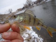 DSC00804.JPG