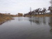 DSC00806.JPG