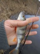 DSC00808.JPG