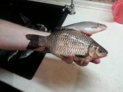 20130221_201947.jpg