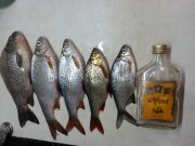 20130221_203758.jpg