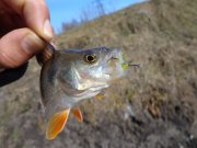 DSC00831.JPG