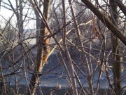 DSC00824.JPG