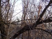 DSC00822.JPG