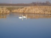 DSC00842.JPG