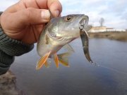 DSC00877.JPG