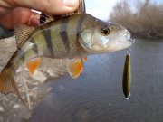 DSC00879.JPG