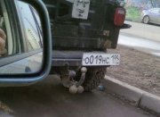 auto-004.jpg