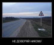 auto-009.jpg
