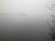 08032013369.jpg