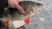 2013-03-14_12-27-39_519.jpg
