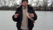 2013-03-14_12-28-41_101.jpg