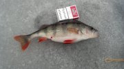 2013-03-14_12-31-06_878.jpg
