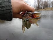 DSC00908.JPG