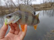 DSC00913.JPG
