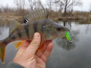 DSC00914.JPG