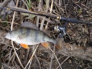 DSC00916.JPG