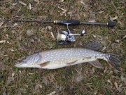 DSC00918.JPG