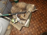 DSCN1251.jpg