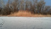 2013-03-19_07-14-04_826.jpg