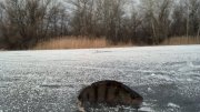 2013-03-19_07-57-47_932.jpg