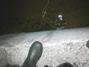 004 .jpg