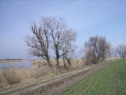 дорога.jpg