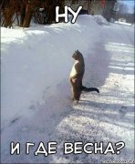 getImage.jpg