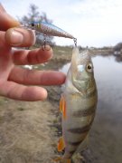 DSC00948.JPG