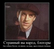 1364003822_5725499_original.jpg
