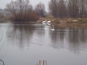 DSC00960.JPG