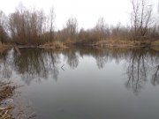 DSC00963.JPG