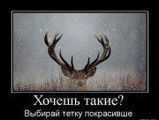 14046033.jpg