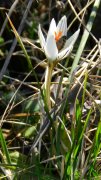 DSCN8957.jpg