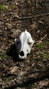 DSCN8961.jpg