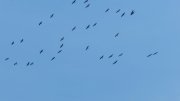 DSCN8993.jpg