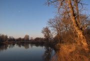 IMG_2459.jpg
