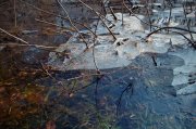 IMG_2480.jpg