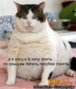 getImage8.jpg