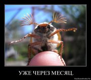 1365073952_grd0dttrykdk[1].jpg