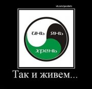 инь янь.jpg