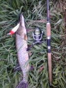 2013-04-12 17.28.32.jpg