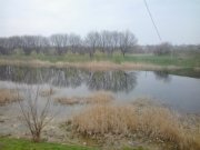 2013-04-12 17.46.50.jpg