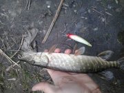2013-04-12 18.38.20.jpg